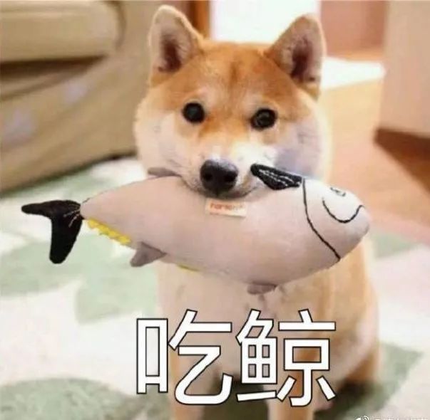 中国人要是闲起来,什么高防服务器都能给你搞